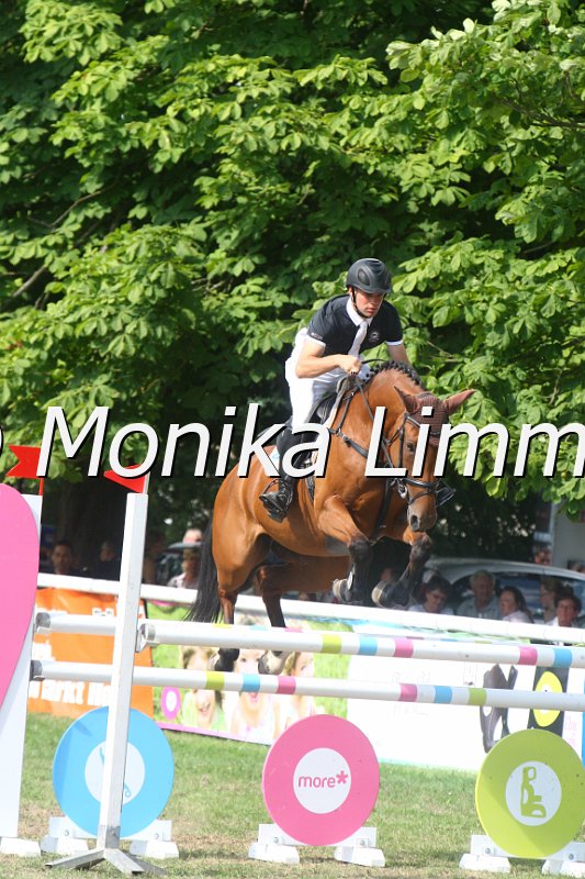 308M3820_Lichtstern_Springpferde Mx.JPG